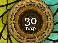 30 nap